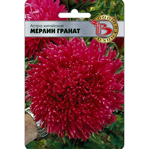 Астра Мерлин Гранат Биотехника изображение 1 артикул 91547