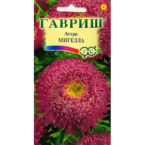 Астра Мигелла Гавриш изображение 1 артикул 91935