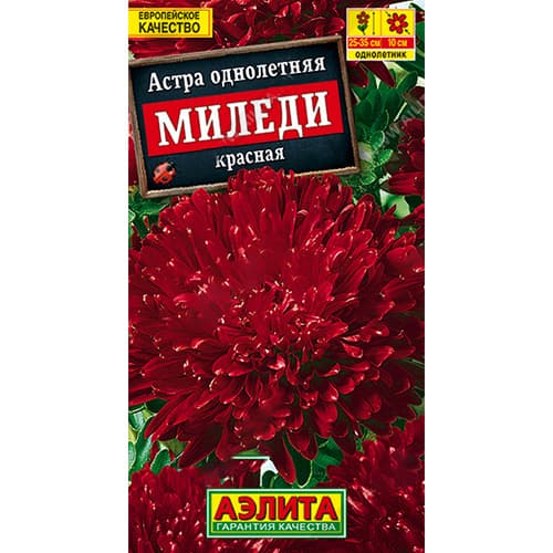 Астра Миледи красная Аэлита артикул фото 1 Астра Миледи красная Аэлита изображение 1 артикул 98851
