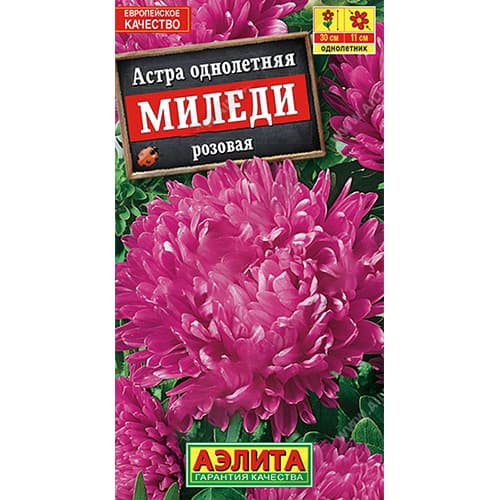 Астра Миледи розовая Аэлита артикул фото 1 Астра Миледи розовая Аэлита изображение 1 артикул 98852