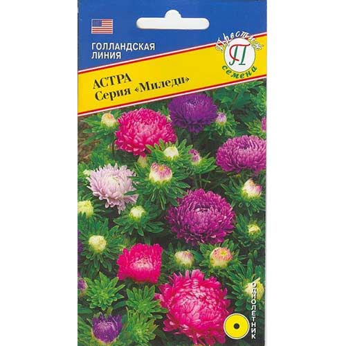 Астра Миледи, смесь окрасок Престиж изображение 1 артикул 93232