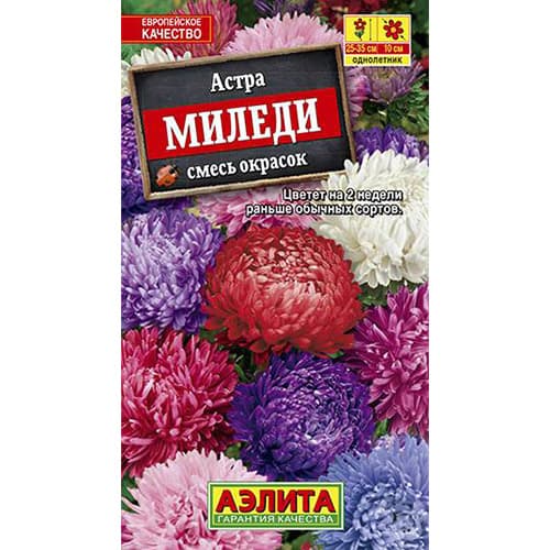 Астра Миледи, смесь окрасок Аэлита изображение 1 артикул 98834