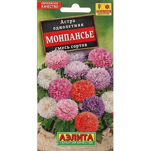 Астра Монпансье, смесь окрасок Аэлита изображение 1 артикул 98855