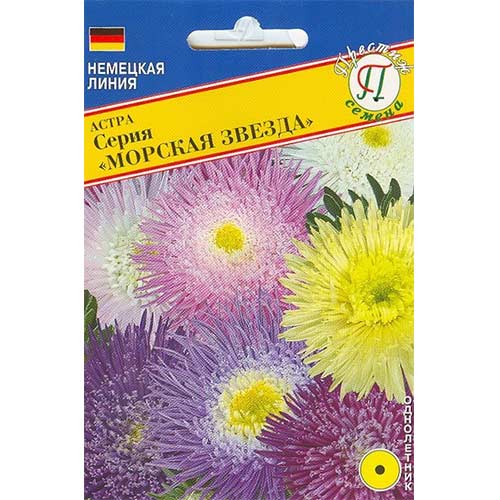 Астра Морская звезда, смесь окрасок Престиж изображение 1 артикул 71411