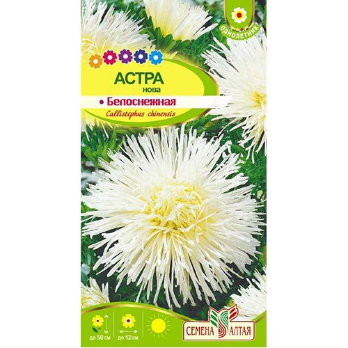 Астра Нова Белоснежная Семена Алтая изображение 1 артикул 94122