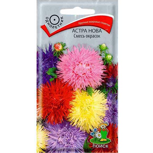 Астра Нова, смесь окрасок Поиск изображение 1 артикул 92882
