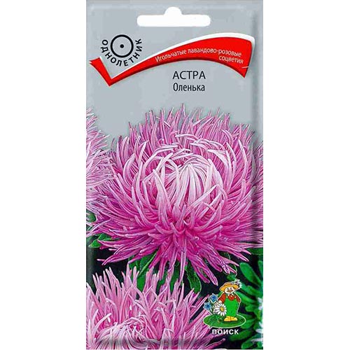 Астра Оленька Поиск изображение 1 артикул 92883