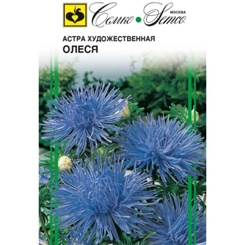 Астра Олеся Семко артикул фото 1 Астра Олеся Семко изображение 1 артикул 94283