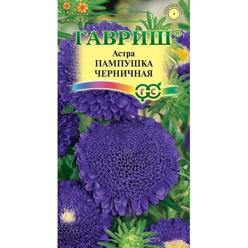 Астра Пампушка черничная Гавриш изображение 1 артикул 91938