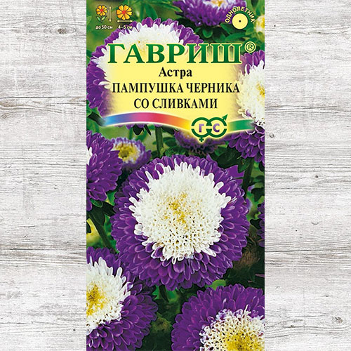 Астра Пампушка Черника со сливками Гавриш изображение 1 артикул 73795