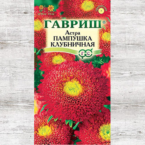Астра Пампушка Клубничная Гавриш артикул фото 1 Астра Пампушка Клубничная Гавриш изображение 1 артикул 73792