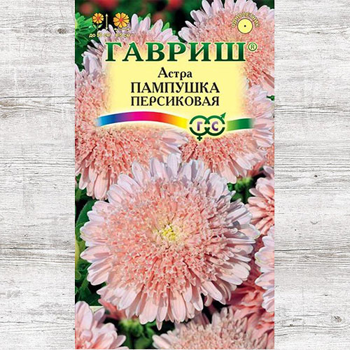 Астра Пампушка Персиковая Гавриш артикул фото 1 Астра Пампушка Персиковая Гавриш изображение 1 артикул 73794