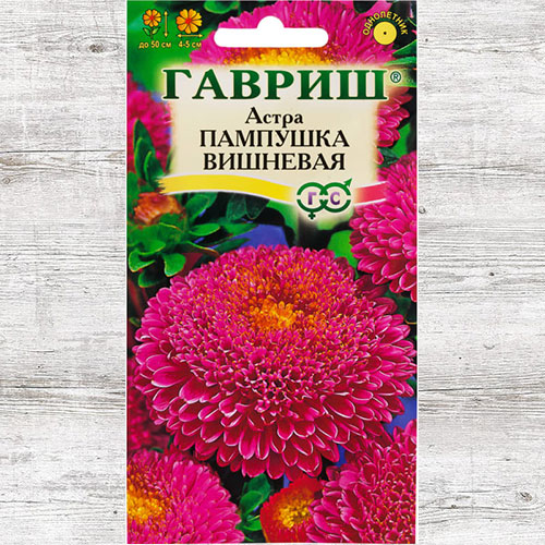 Астра Пампушка Вишневая Гавриш изображение 1 артикул 73789