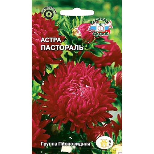 Астра Пастораль Седек изображение 1 артикул 93647