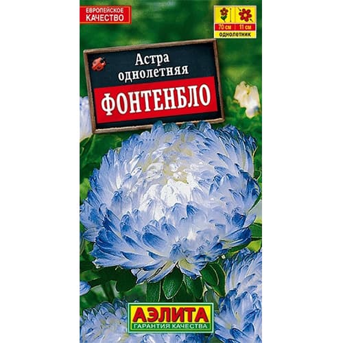 Астра пионовидная Фонтенбло Аэлита изображение 1 артикул 40287