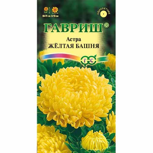 Астра пионовидная Желтая башня Гавриш изображение 1 артикул 40581