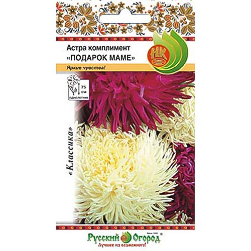 Астра Подарок маме, смесь окрасок НК изображение 1 артикул 92432