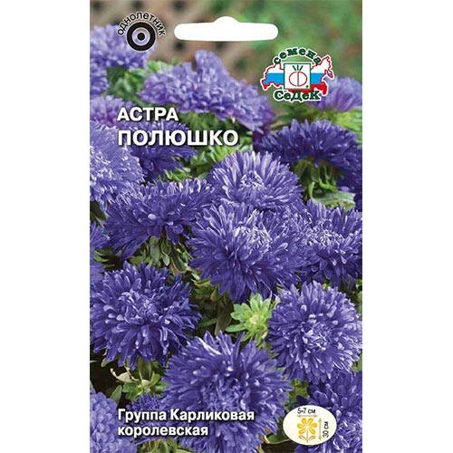 Астра Полюшко Седек изображение 1 артикул 93649