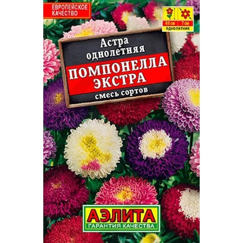 Астра Помпонелла экстра, смесь окрасок Аэлита изображение 1 артикул 40286