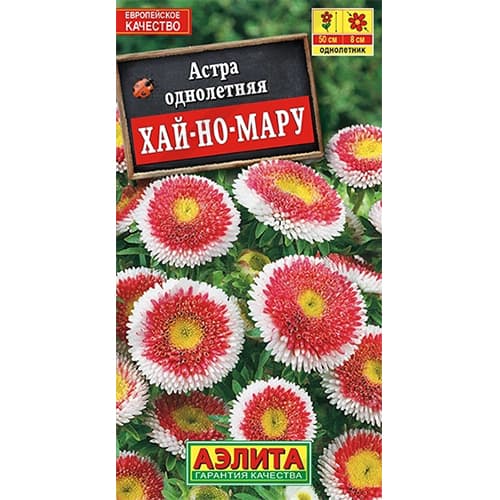 Астра помпонная Хай-но-мару Аэлита изображение 1 артикул 40288