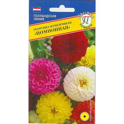 Астра Помпонная, смесь окрасок Престиж изображение 1 артикул 84439