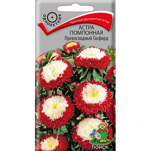 Астра Превосходный Гасфорд Поиск изображение 1 артикул 92884