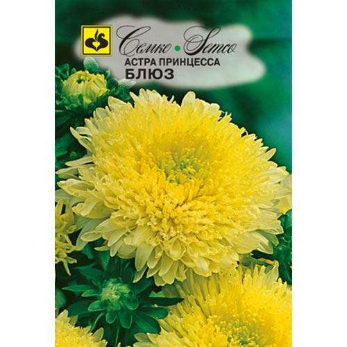 Астра Принцесса Блюз Семко изображение 1 артикул 94284