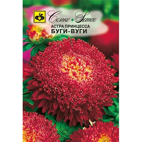 Астра Принцесса Буги-Вуги Семко изображение 1 артикул 94285
