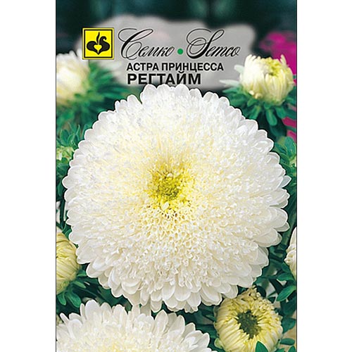 Астра Принцесса Регтайм Семко артикул фото 1 Астра Принцесса Регтайм Семко изображение 1 артикул 94286