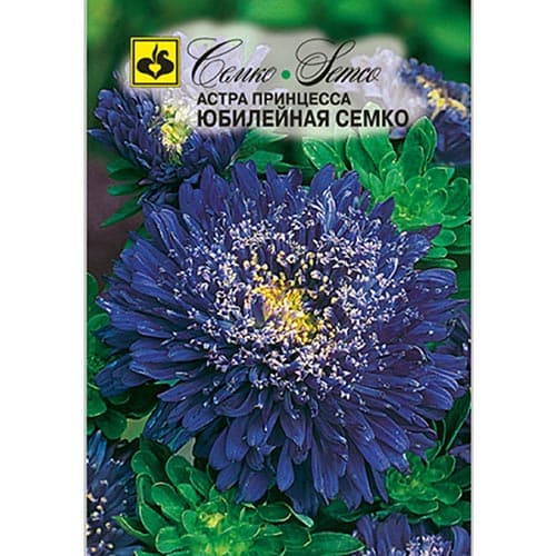 Астра Принцесса Юбилейная Семко изображение 1 артикул 94287