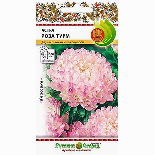 Астра Роза Турм НК изображение 1 артикул 92435