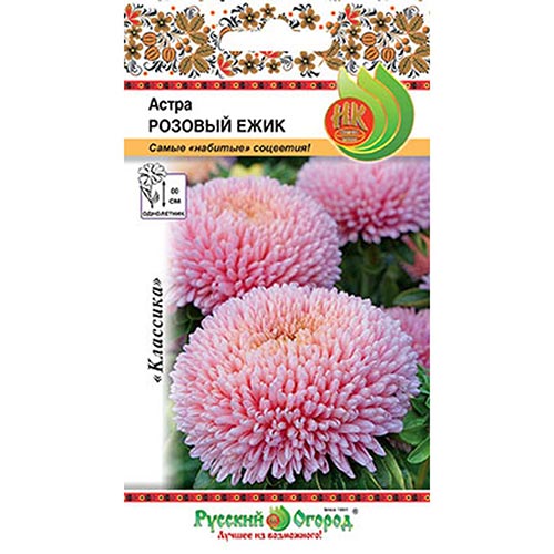 Астра Розовый ежик НК изображение 1 артикул 92437