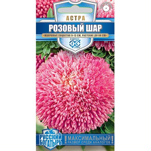 Астра Розовый шар Гавриш изображение 1 артикул 91941