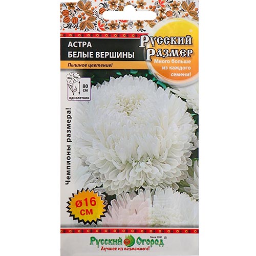 Астра Русский Размер Белые вершины НК изображение 1 артикул 92438