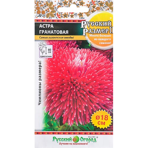 Астра Русский Размер II Гранатовая НК изображение 1 артикул 92440