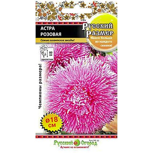 Астра Русский Размер II Розовая НК изображение 1 артикул 92442