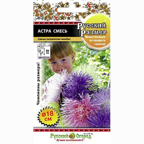 Астра Русский Размер I, смесь окрасок Русский огород НК изображение 1 артикул 66196