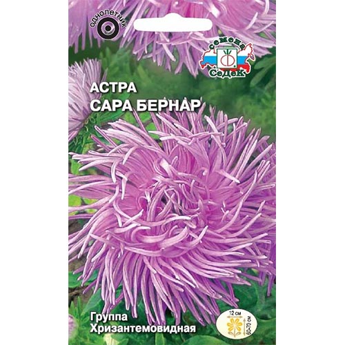 Астра Сара Бернар Седек изображение 1 артикул 93651