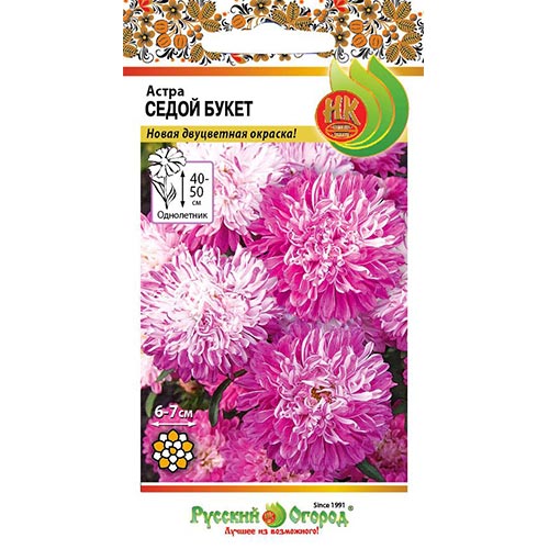 Астра Седой букет НК изображение 1 артикул 92443