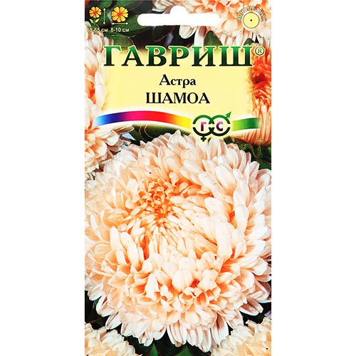 Астра Шамоа Гавриш изображение 1 артикул 91946