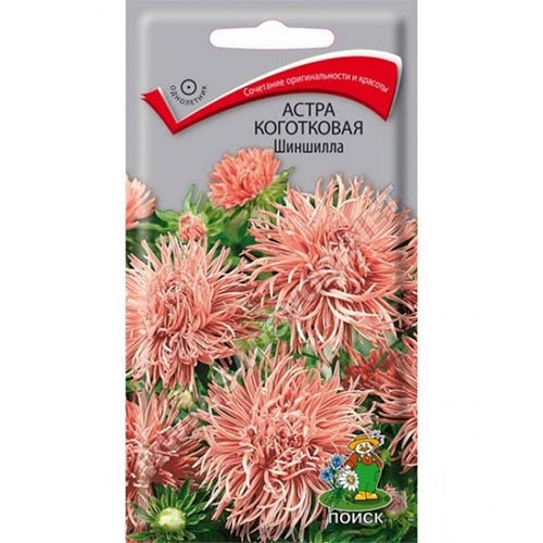 Астра Шиншилла Поиск изображение 1 артикул 92888