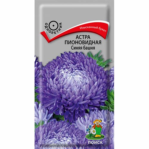 Астра Синяя башня Поиск артикул фото 1 Астра Синяя башня Поиск изображение 1 артикул 82066