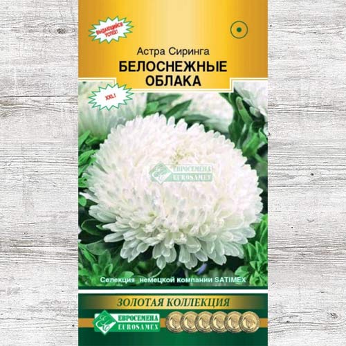 Астра Сиринга Белоснежные облака изображение 1 артикул 83441