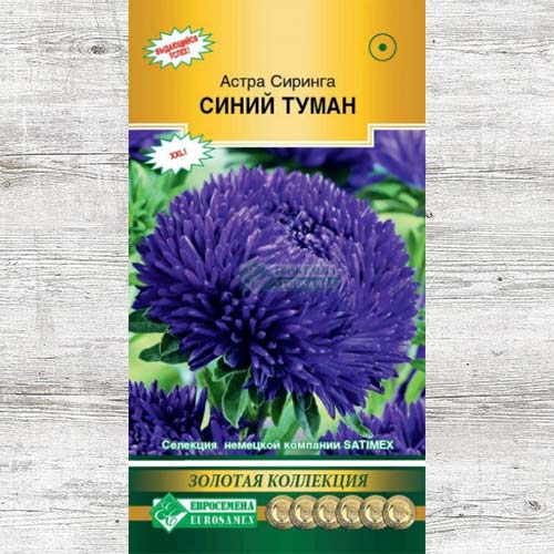 Астра Сиринга Синий туман изображение 1 артикул 83444