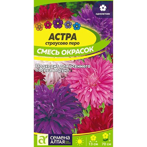 Астра Страусово перо, смесь окрасок Семена Алтая артикул фото 1 Астра Страусово перо, смесь окрасок Семена Алтая изображение 1 артикул 84741