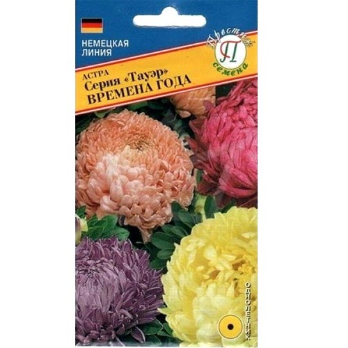 Астра Тауэр Времена года, смесь окрасок Престиж артикул фото 1 Астра Тауэр Времена года, смесь окрасок Престиж изображение 1 артикул 71412