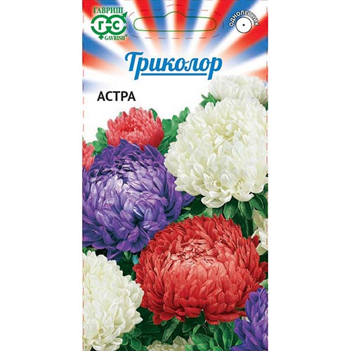 Астра Триколор, смесь окрасок Гавриш изображение 1 артикул 91943