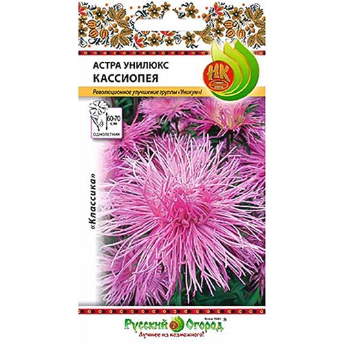 Астра Унилюкс Кассиопея НК изображение 1 артикул 92449