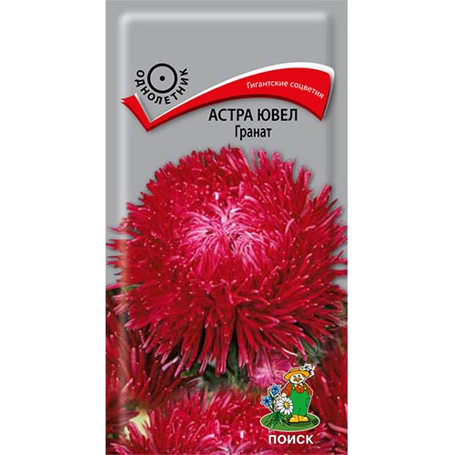 Астра Ювел Гранат Поиск изображение 1 артикул 92891