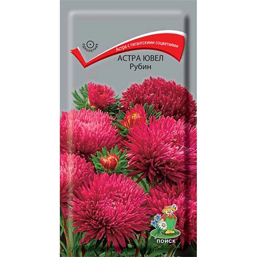 Астра Ювел Рубин Поиск изображение 1 артикул 92892